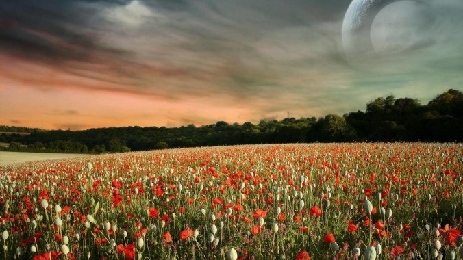 为什么一直唱衰的php语言反而日渐活跃？